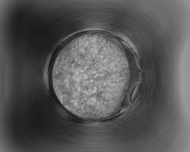 X0000087531072200705181026