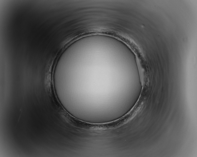 X0000087531073200705181026