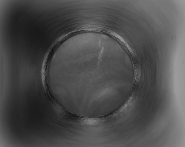 X0000087531074200705181026