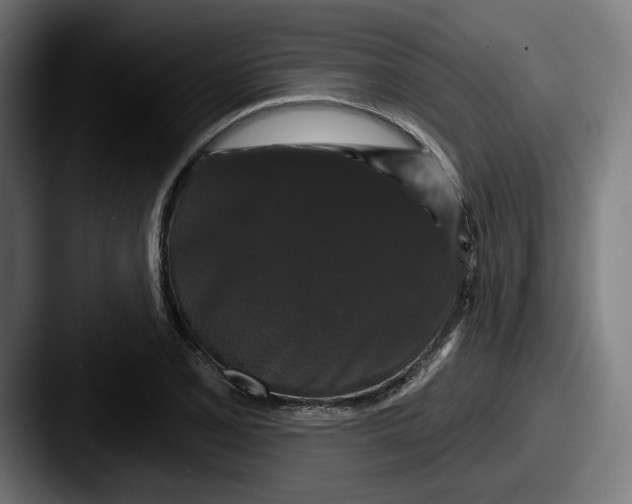 X0000087531077200705181026