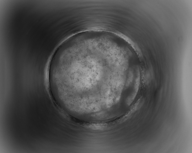 X0000087531078200705181026