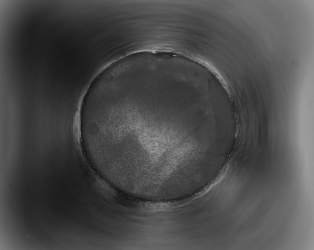 X0000087531079200705181026