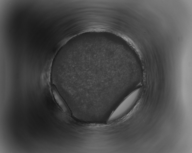 X0000087531081200705181026