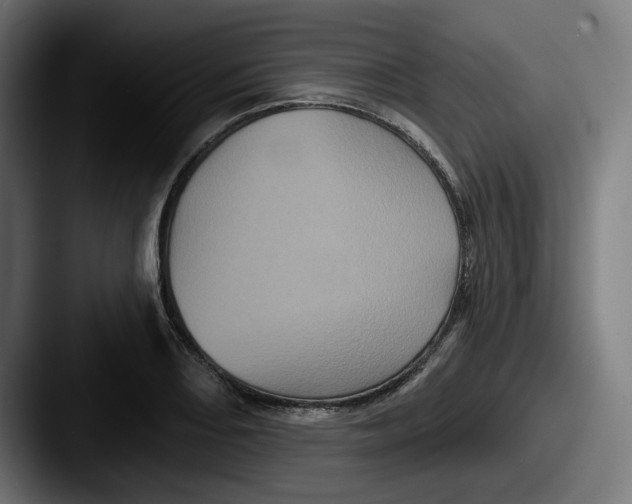 X0000087531082200705181026