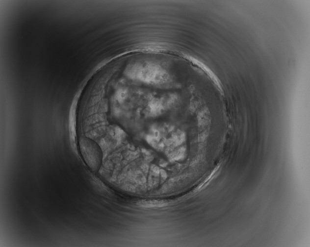 X0000087531083200705181026