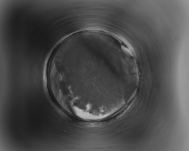 X0000087531084200705181026