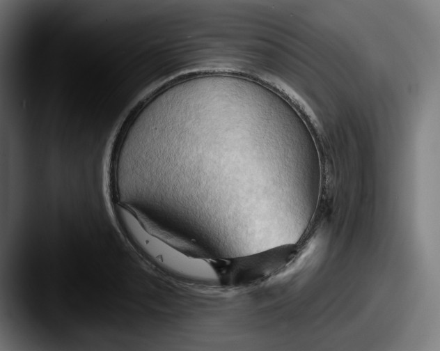 X0000087531085200705181026