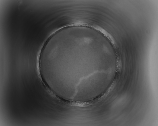 X0000087531086200705181026