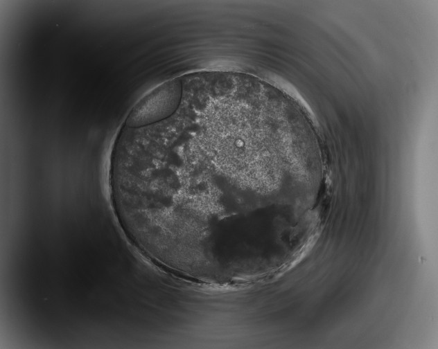 X0000087531087200705181026