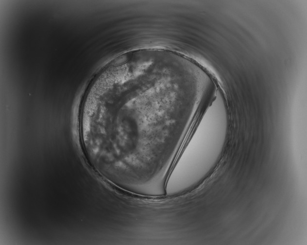 X0000087531088200705181026