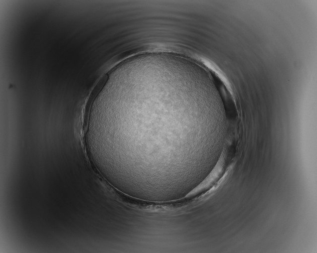 X0000087531089200705181026