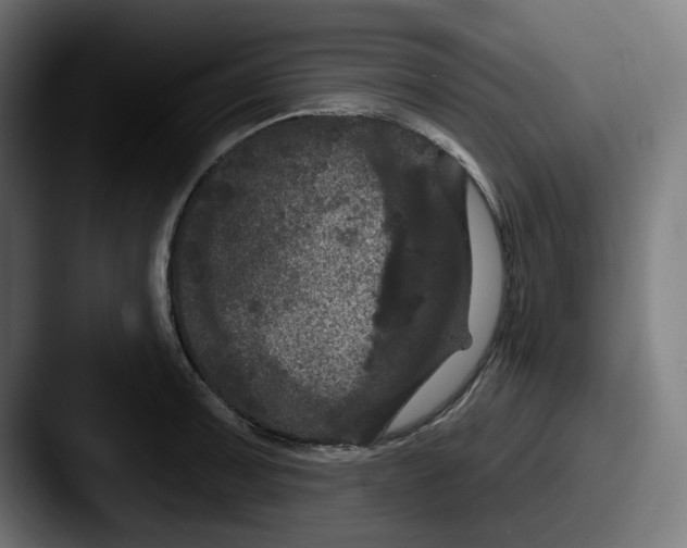 X0000087531091200705181026