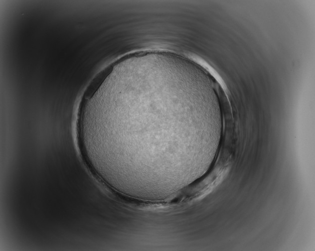 X0000087531093200705181026