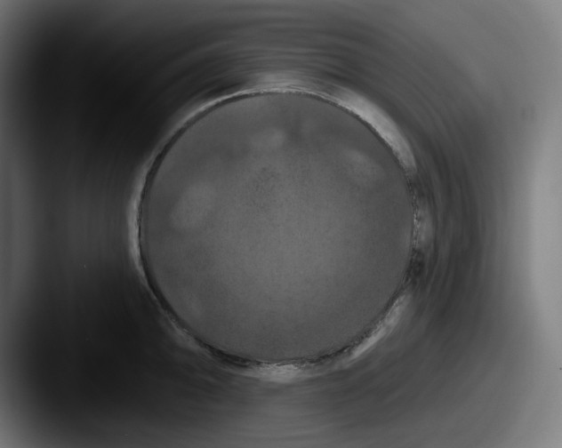 X0000087531094200705181026