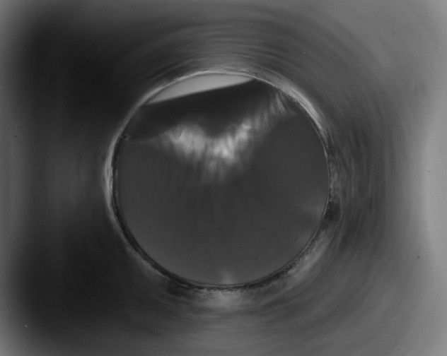 X0000087531095200705181026