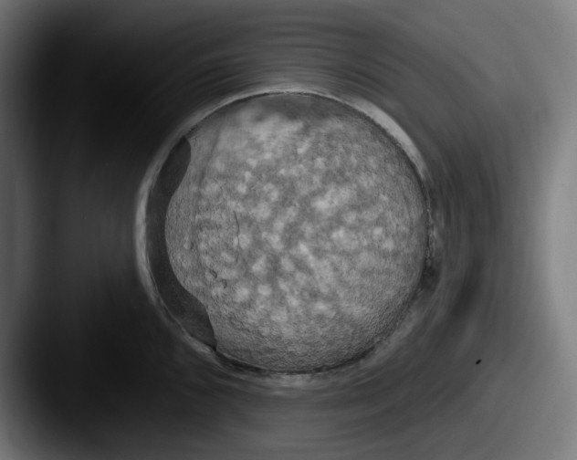 X0000087531096200705181026