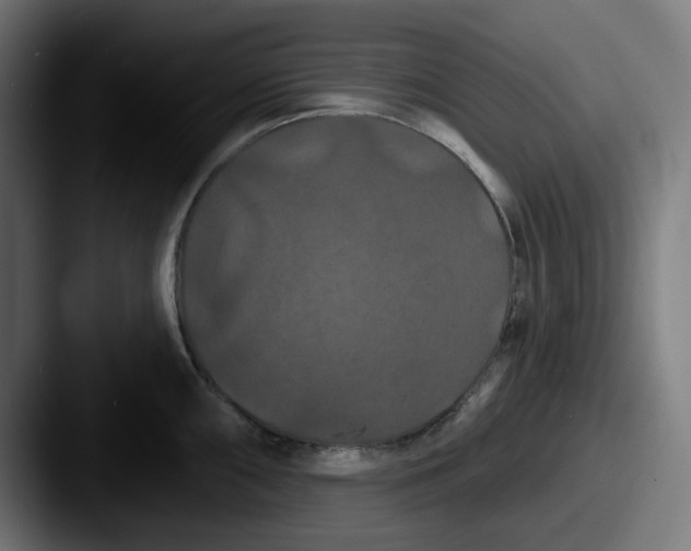 X0000087531098200705181026