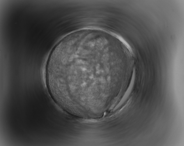 X0000087531100200705181026