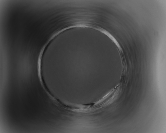 X0000087531101200705181026