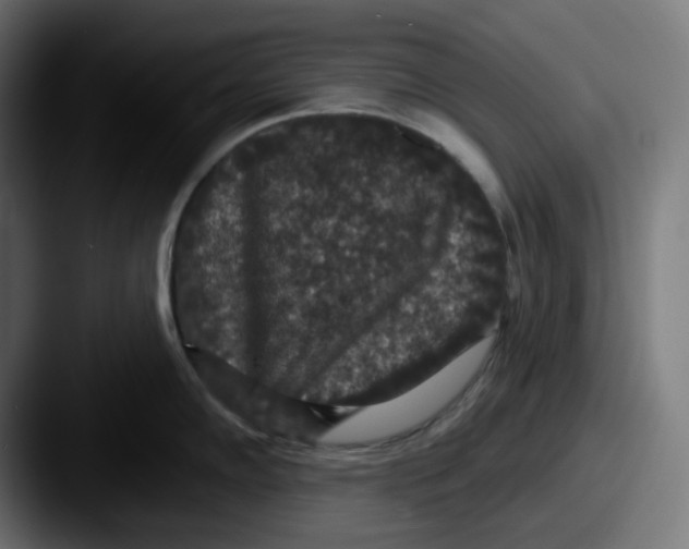 X0000087531102200705181026