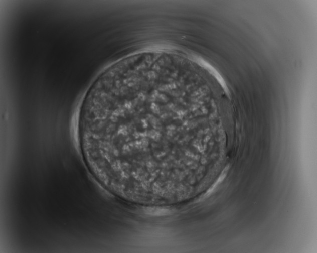 X0000087531103200705181026