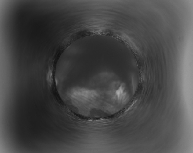 X0000087531106200705181025