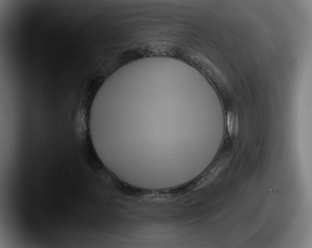 X0000087531107200705181025