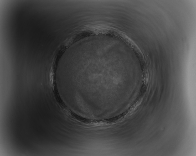 X0000087531108200705181025