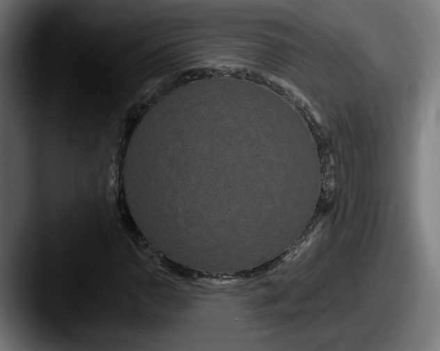 X0000087531110200705181025