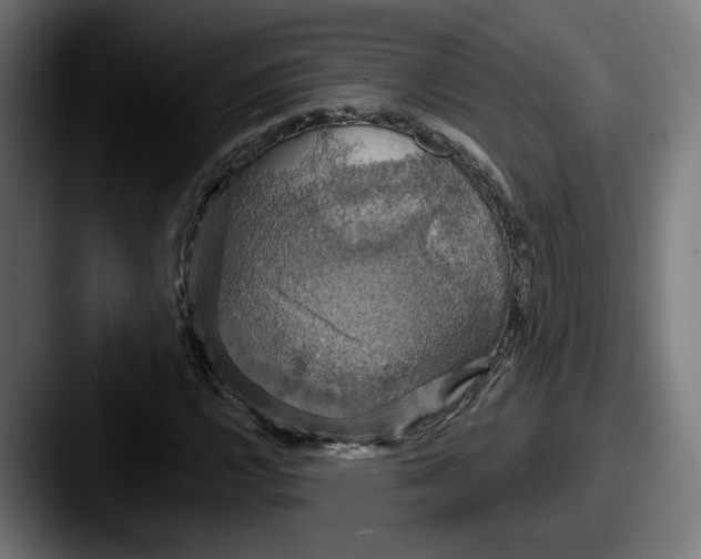 X0000087531112200705181025