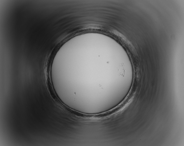 X0000087531113200705181025