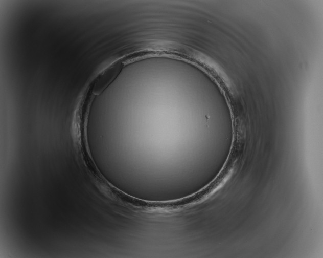 X0000087531114200705181025