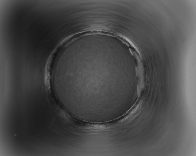 X0000087531115200705181025