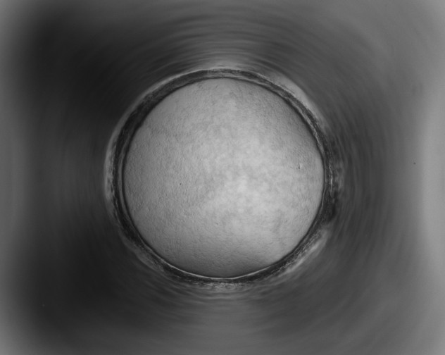 X0000087531116200705181025