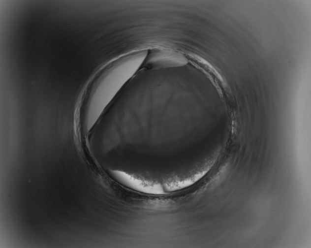 X0000087531117200705181025