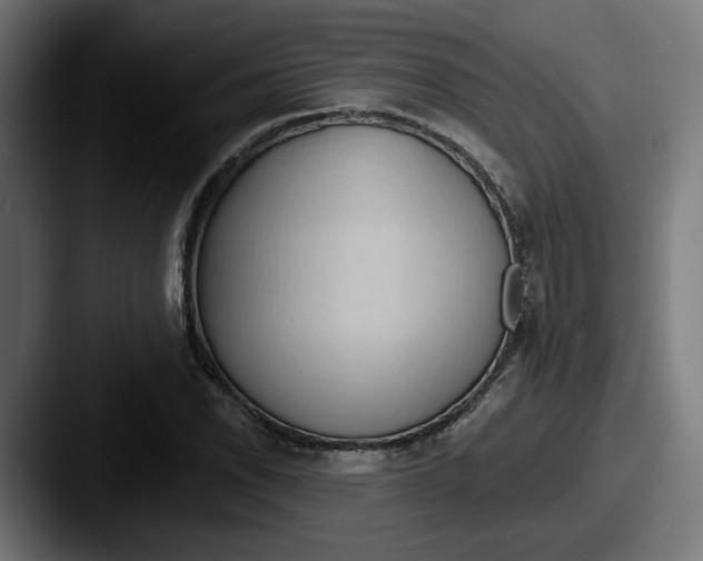 X0000087531118200705181025