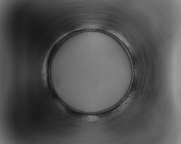 X0000087531119200705181025