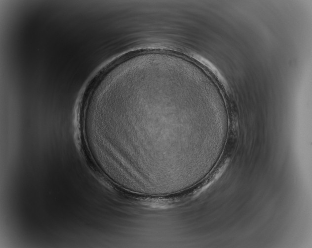 X0000087531120200705181025