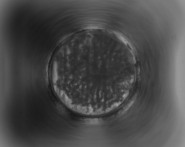 X0000087531121200705181026