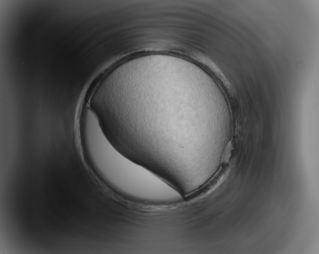 X0000087531122200705181026