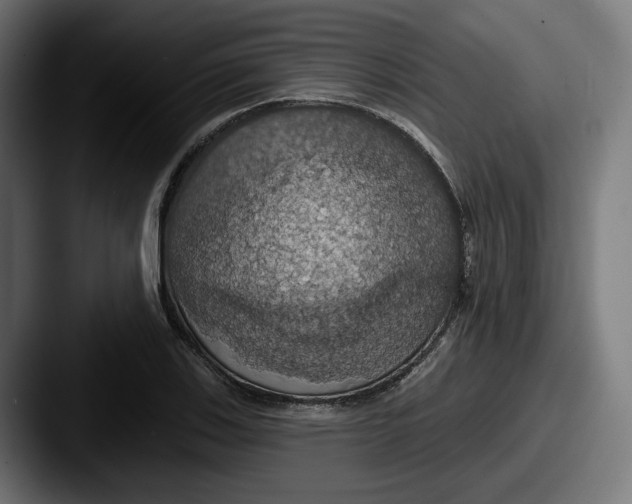 X0000087531123200705181026