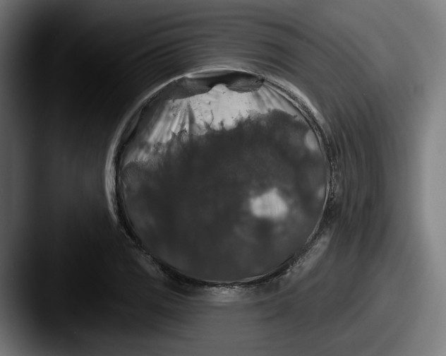 X0000087531125200705181026