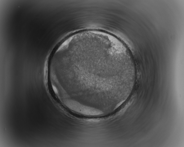 X0000087531126200705181026