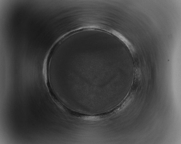 X0000087531127200705181026