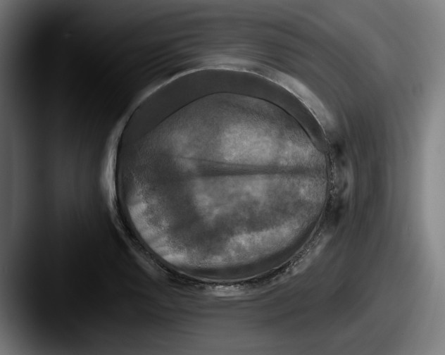 X0000087531128200705181026