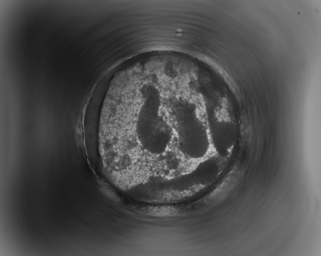 X0000087531129200705181026