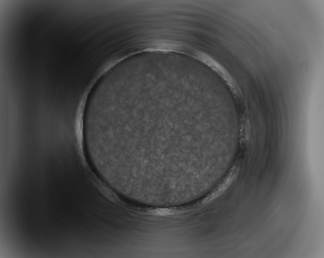 X0000087531130200705181026