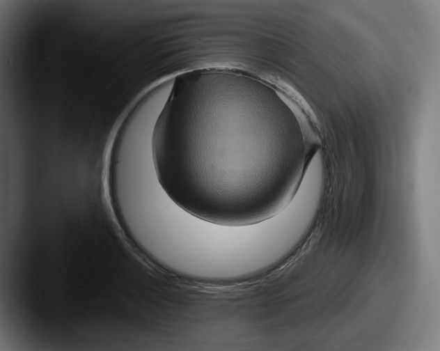 X0000087531132200705181026