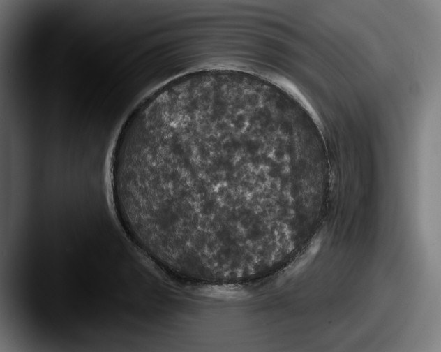 X0000087531133200705181026