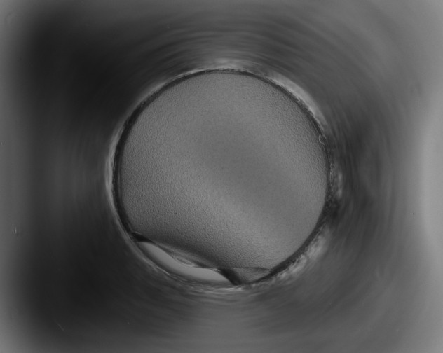 X0000087531135200705181026